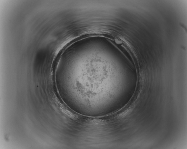 X0000100870779200806271112