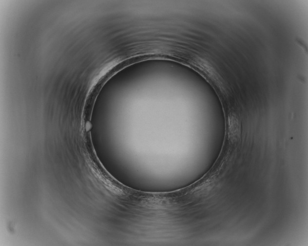 X0000100870780200806271112