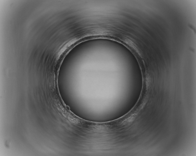 X0000100870781200806271112