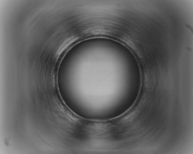 X0000100870782200806271112