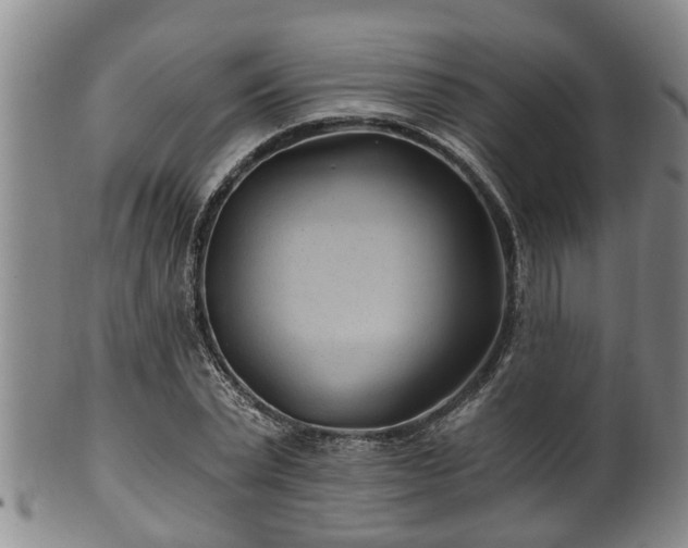 X0000100870783200806271112