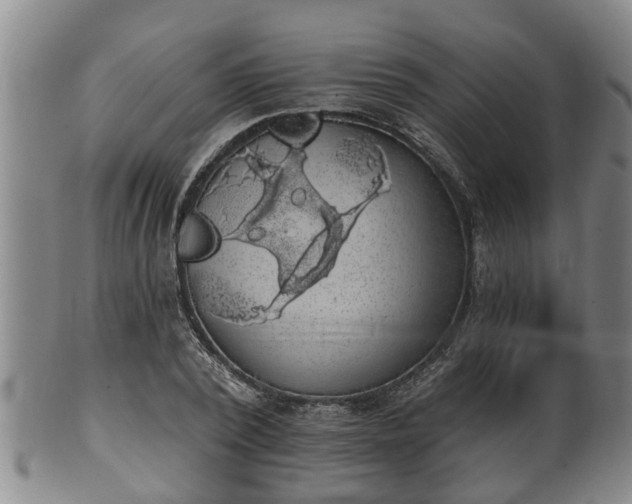 X0000100870784200806271112