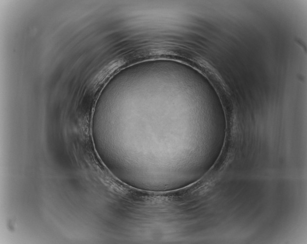 X0000100870785200806271112