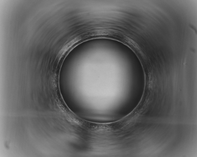 X0000100870786200806271112