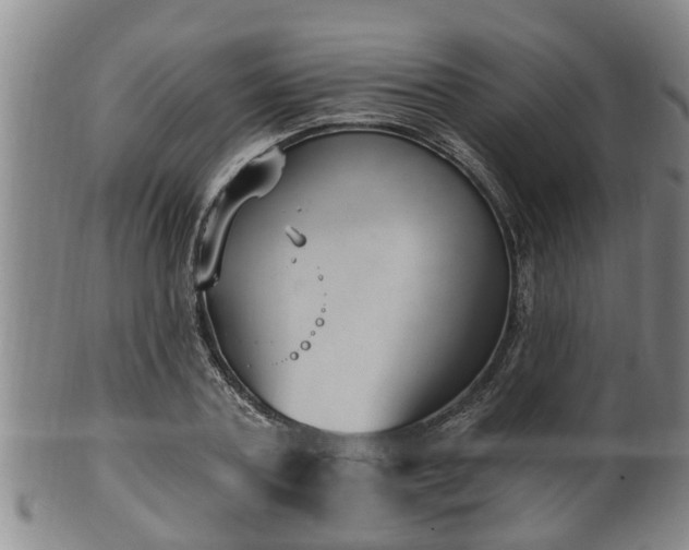 X0000100870787200806271112