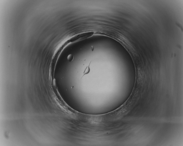 X0000100870788200806271112