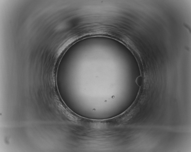 X0000100870789200806271112