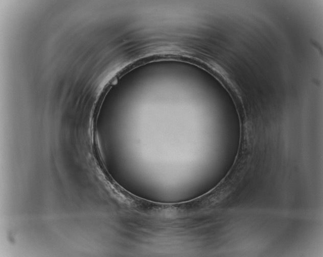 X0000100870791200806271112