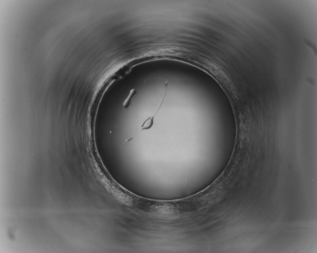 X0000100870792200806271112