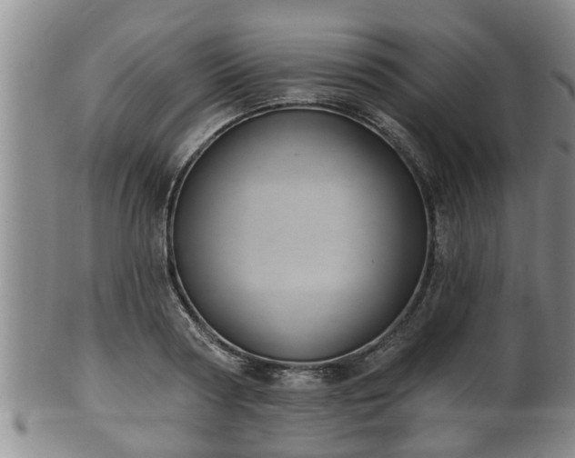 X0000100870794200806271111