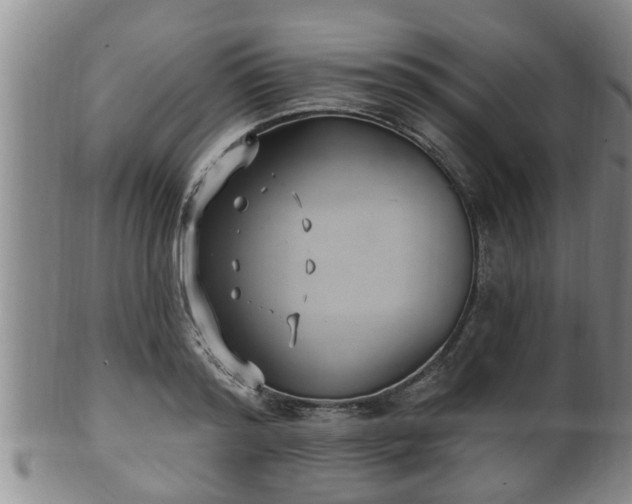 X0000100870796200806271111