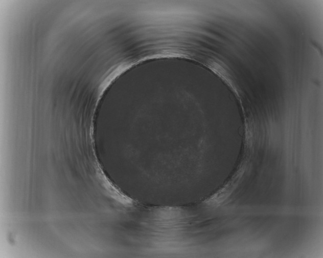 X0000100870797200806271111