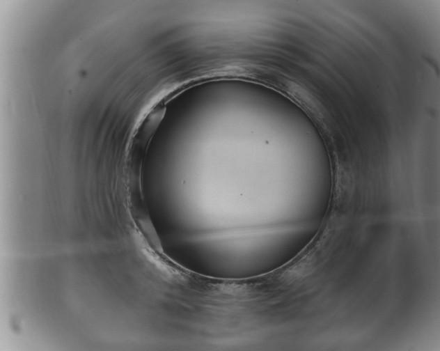 X0000100870800200806271111