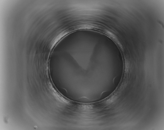 X0000100870802200806271111