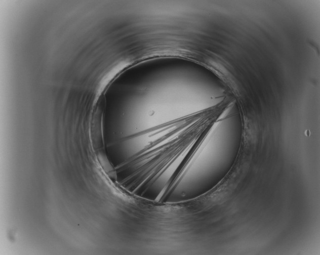 X0000100870804200806271111