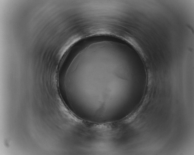 X0000100870806200806271111