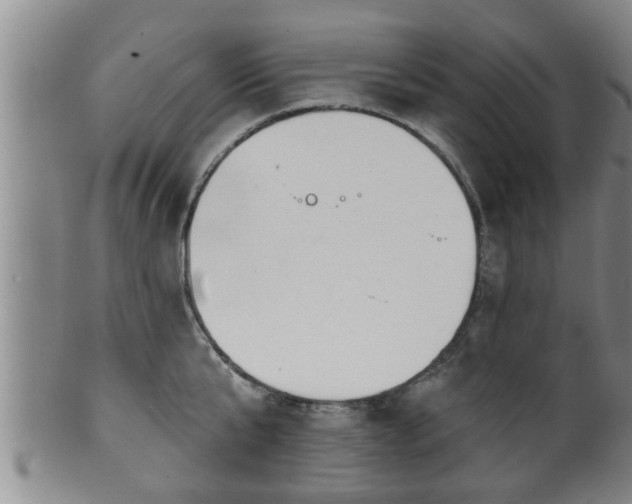 X0000100870807200806271111