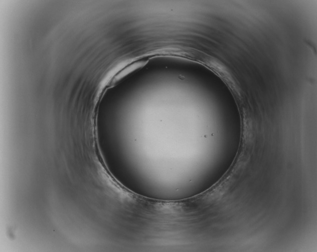 X0000100870808200806271111