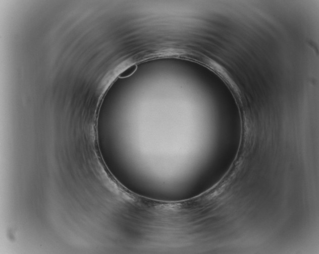 X0000100870810200806271111