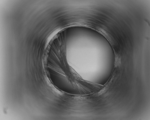 X0000100870812200806271111
