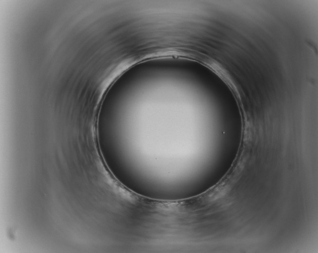 X0000100870813200806271111