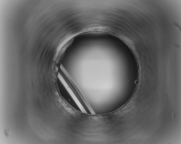 X0000100870816200806271111