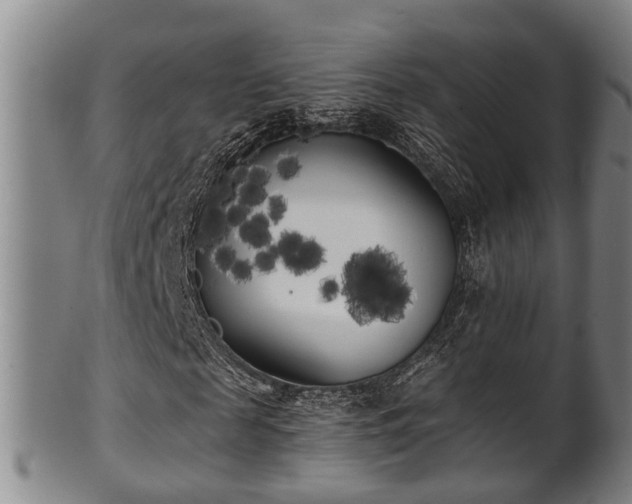 X0000100870817200806271110