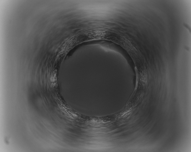 X0000100870818200806271110