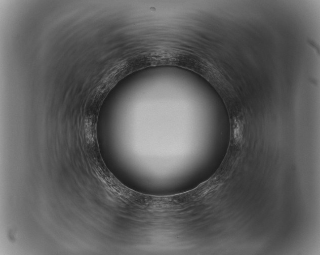 X0000100870819200806271110