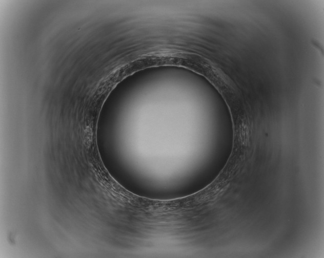 X0000100870821200806271110