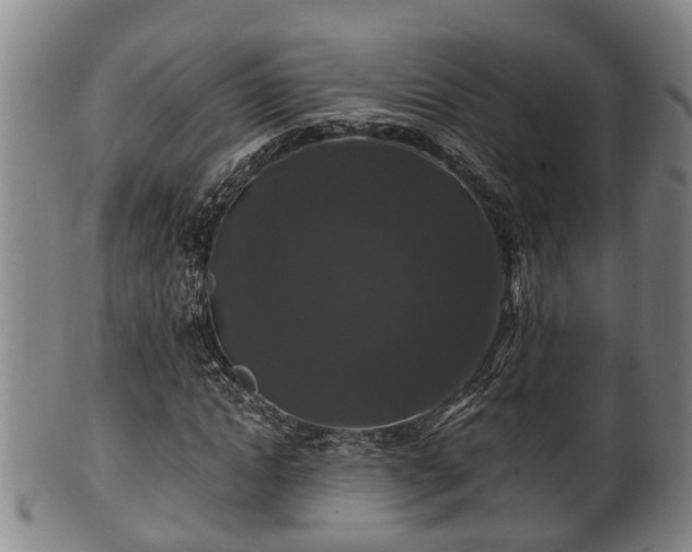 X0000100870822200806271110