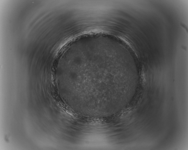 X0000100870823200806271110