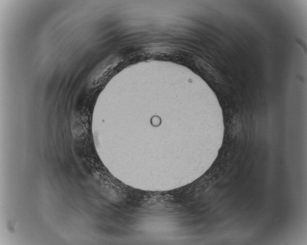 X0000100870824200806271110