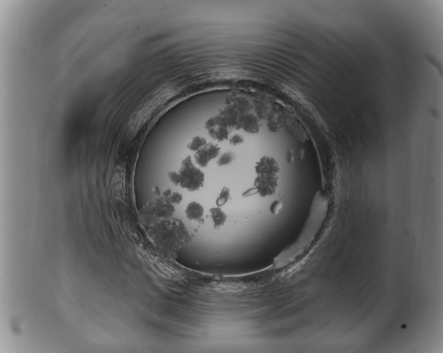 X0000100870825200806271110