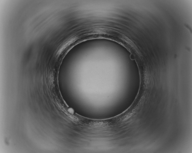 X0000100870826200806271110