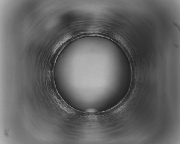 X0000100870827200806271110