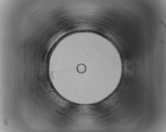 X0000100870828200806271110