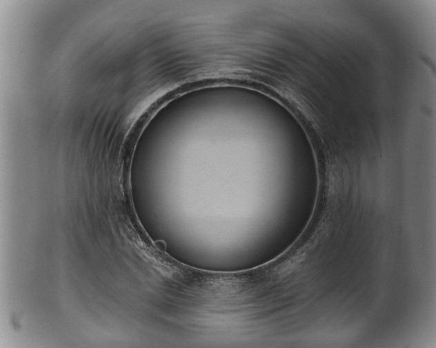 X0000100870830200806271110