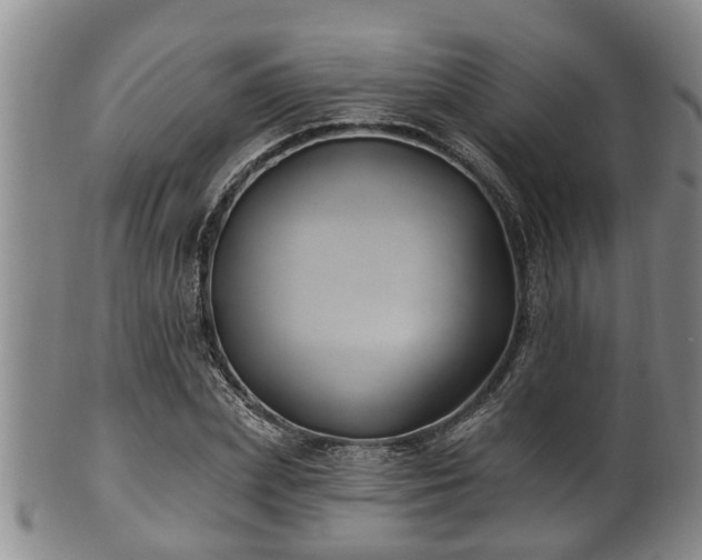 X0000100870831200806271111