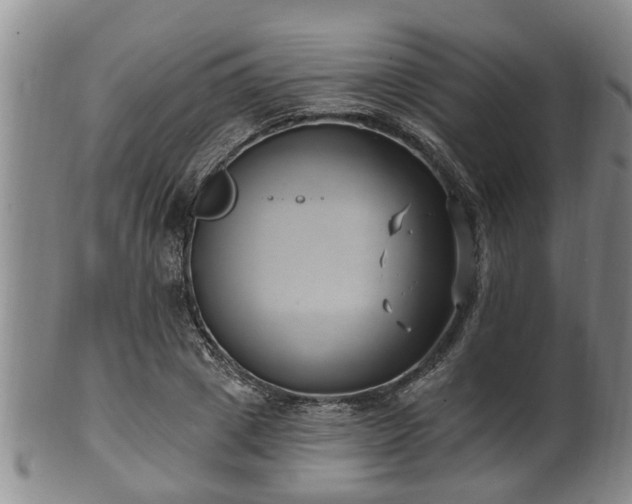 X0000100870833200806271111