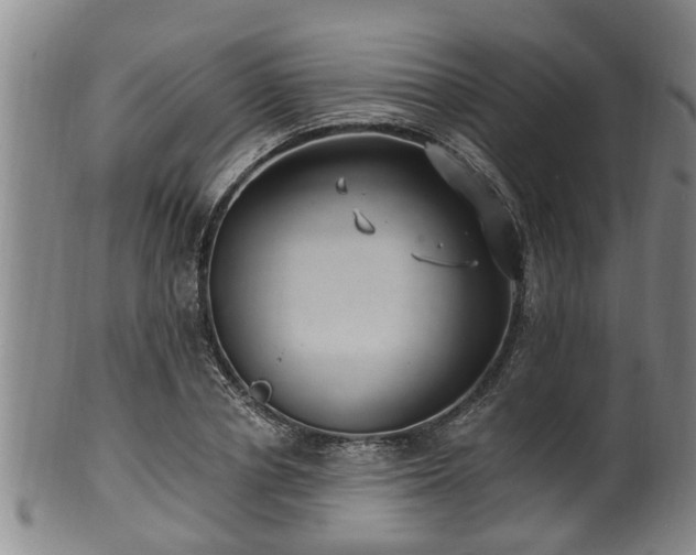 X0000100870834200806271111