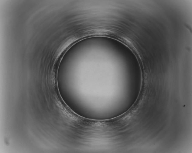 X0000100870835200806271111