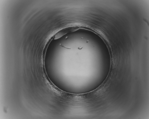 X0000100870839200806271111