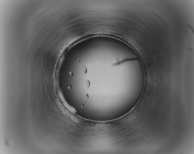 X0000100870840200806271111