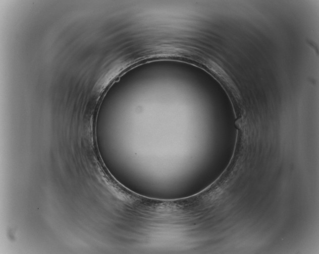 X0000100870842200806271111