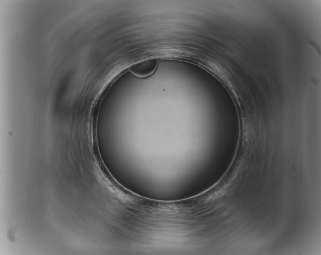 X0000100870843200806271111