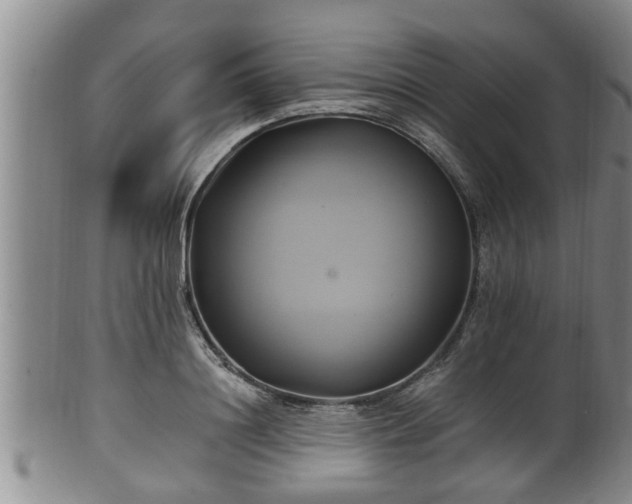 X0000100870844200806271111