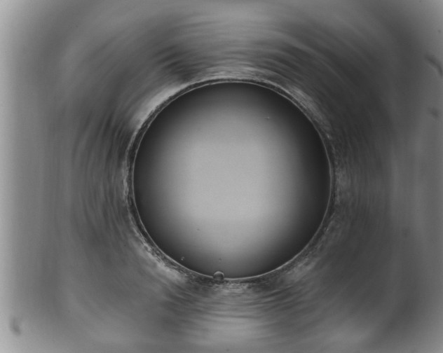 X0000100870846200806271111