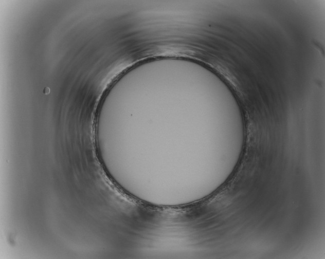 X0000100870848200806271111