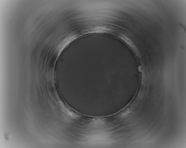 X0000100870850200806271111